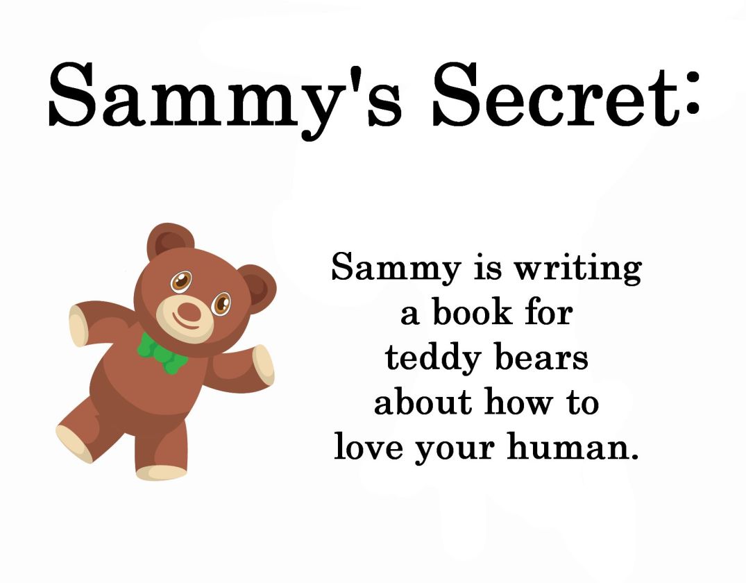 sammy writing